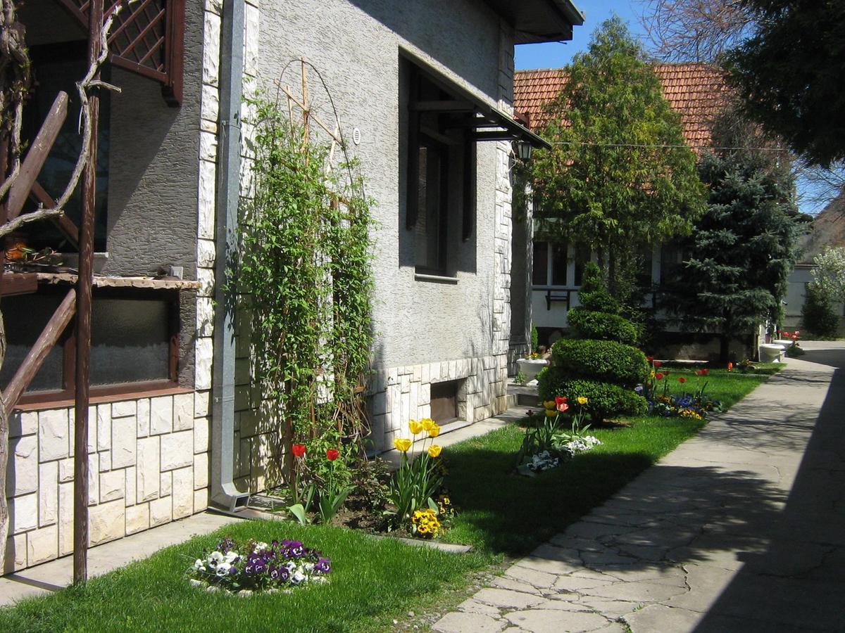 Domacinstvo Opavski Backi Petrovac Extérieur photo