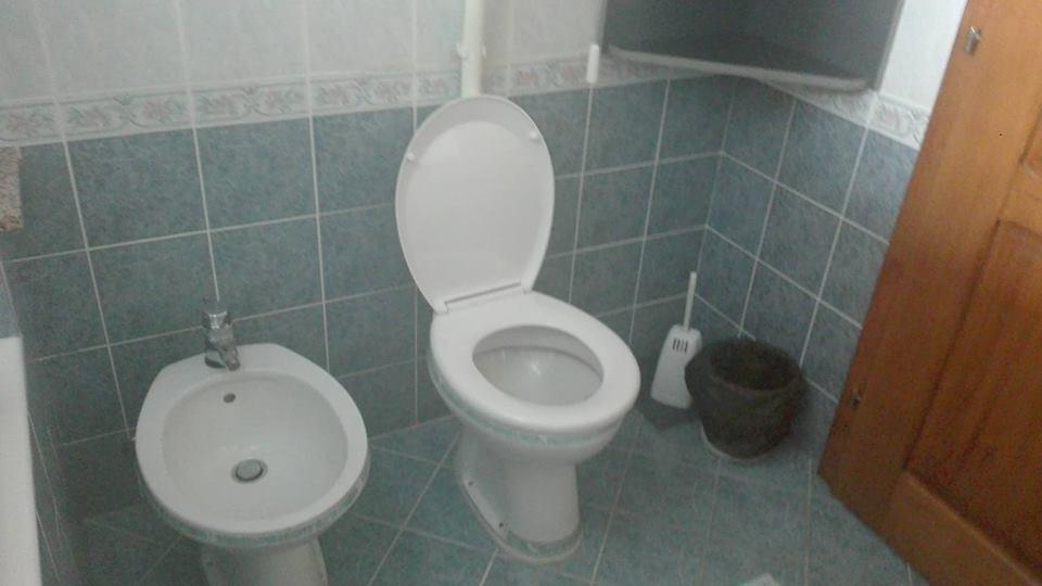 Domacinstvo Opavski Backi Petrovac Extérieur photo